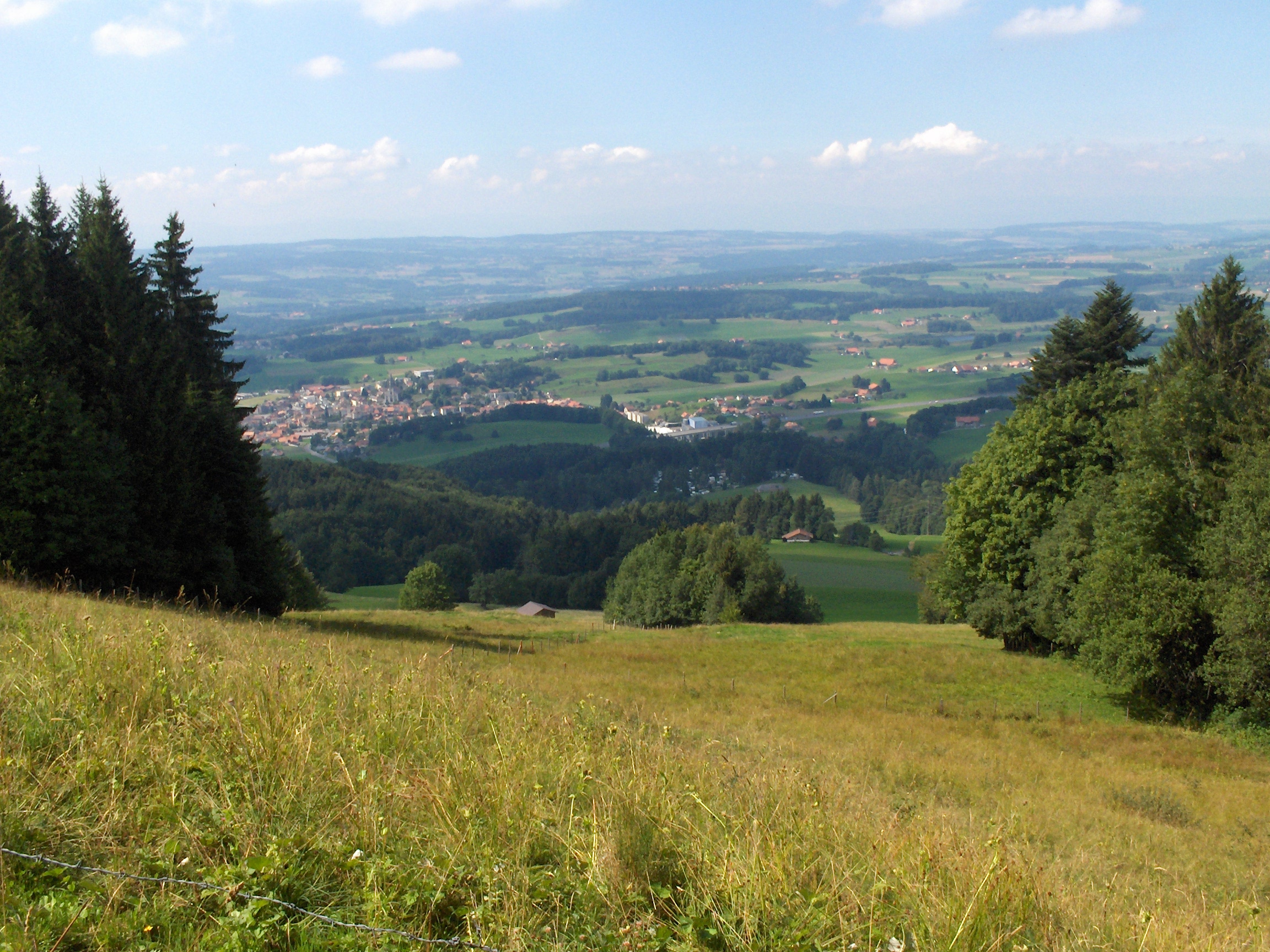 2.6 KM. 217 M Up. Les Paccots.